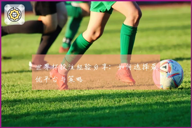 世界杯投注经验分享：如何选择最优平台与策略