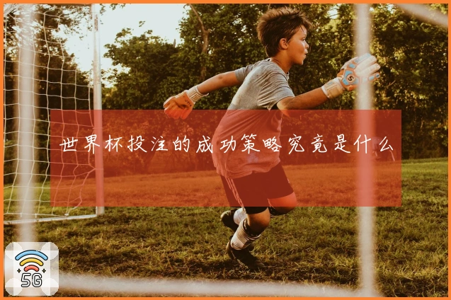 世界杯投注的成功策略究竟是什么