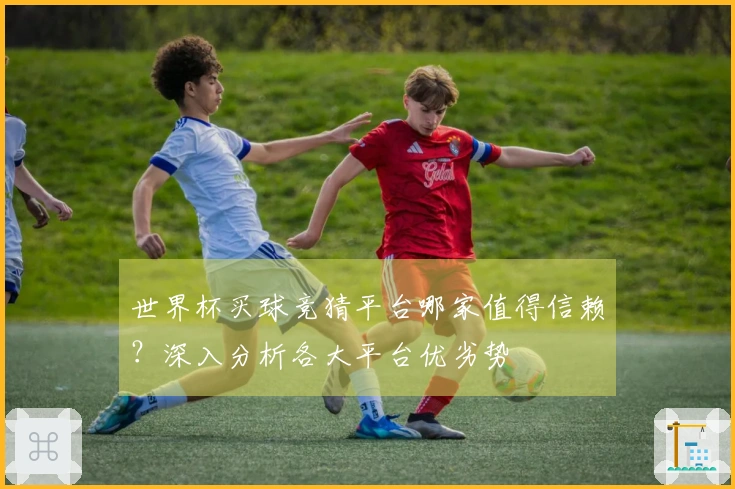 世界杯买球竞猜平台哪家值得信赖？深入分析各大平台优劣势