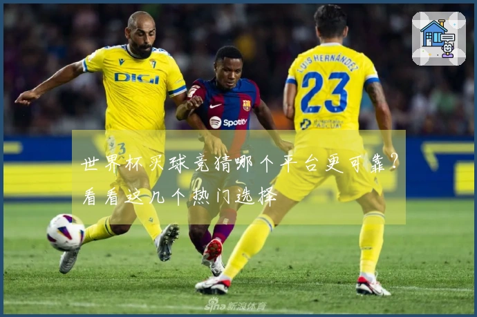 世界杯买球竞猜哪个平台更可靠？看看这几个热门选择
