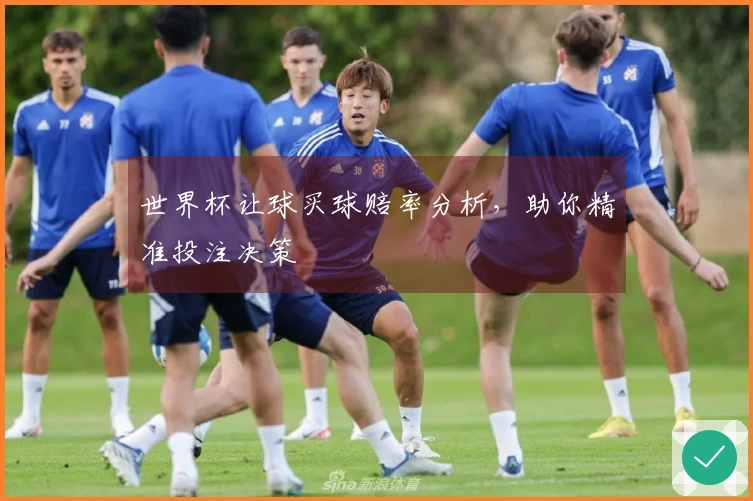 世界杯让球买球赔率分析，助你精准投注决策