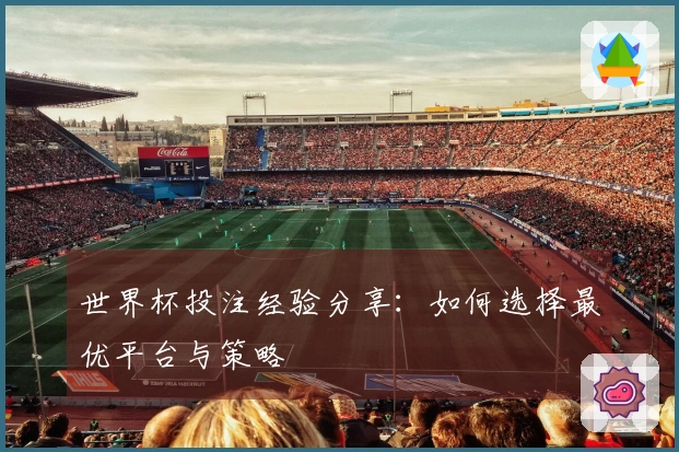 世界杯投注经验分享：如何选择最优平台与策略