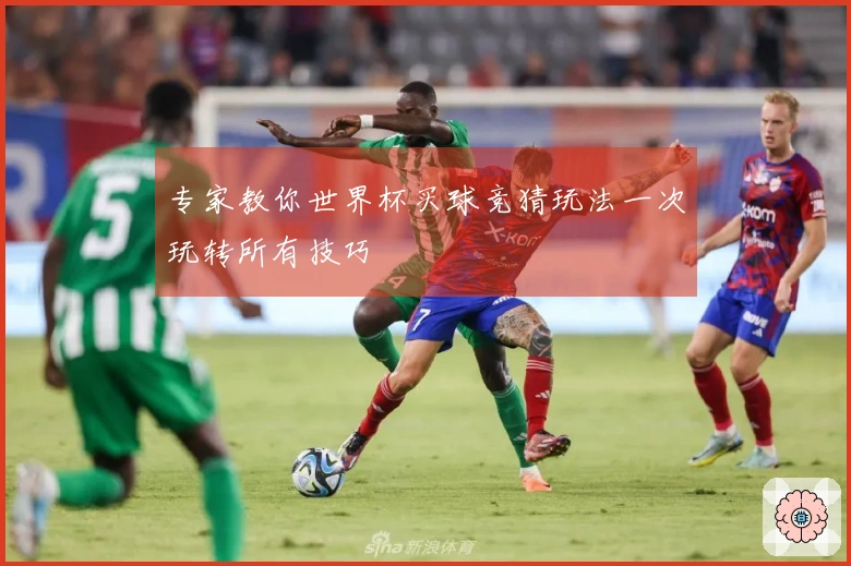 专家教你世界杯买球竞猜玩法一次玩转所有技巧