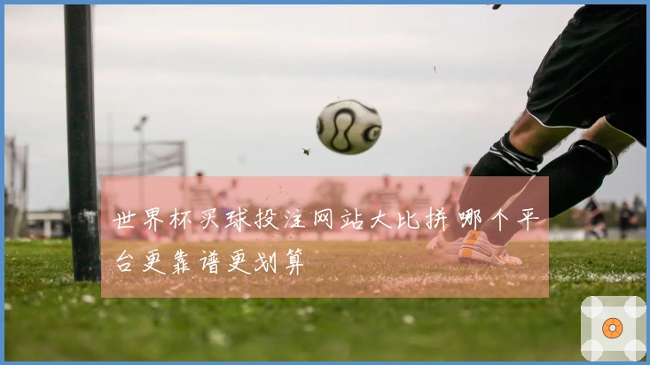 世界杯买球投注网站大比拼 哪个平台更靠谱更划算