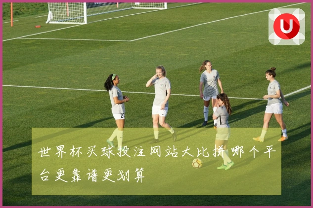 世界杯买球投注网站大比拼 哪个平台更靠谱更划算