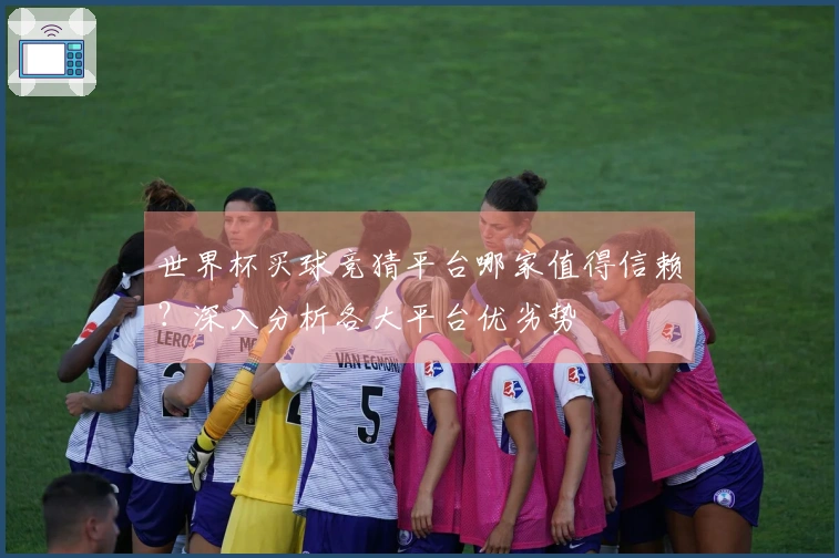 世界杯买球竞猜平台哪家值得信赖？深入分析各大平台优劣势