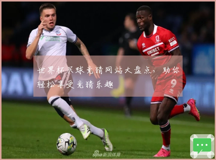 世界杯买球竞猜网站大盘点，助你轻松享受竞猜乐趣